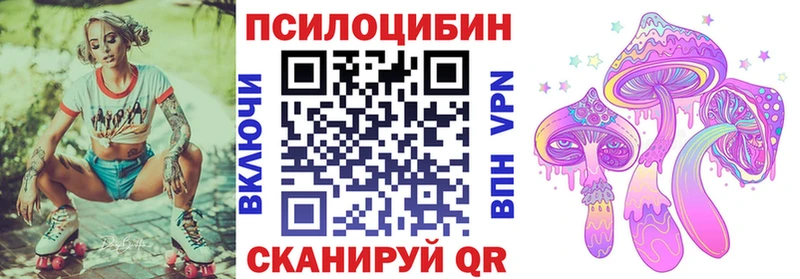 наркошоп  Ковдор  Псилоцибиновые грибы Cubensis 